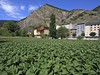 Andorra, tabák